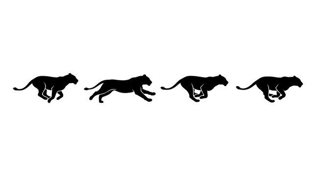 Four black big cat silhouettes running in sequence