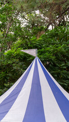 Low angle view of a purple and white striped tent canopy surrounded by green foliage outdoors © RRestrepo