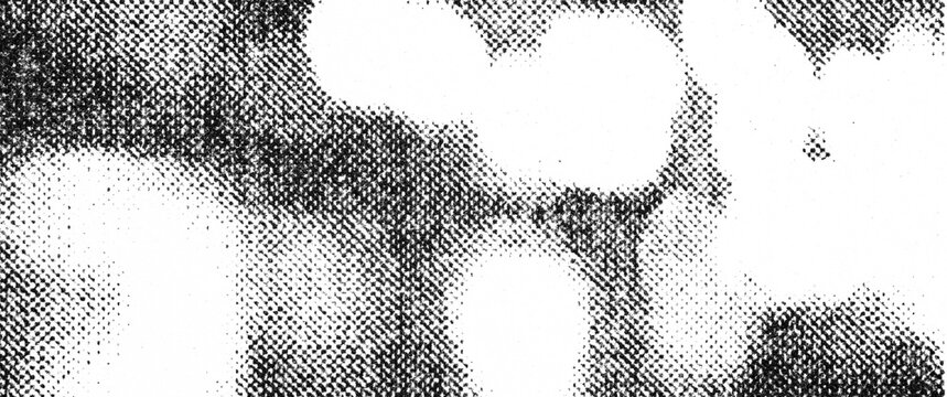 Large soft light forms overlap dense dark grain in monochrome print.