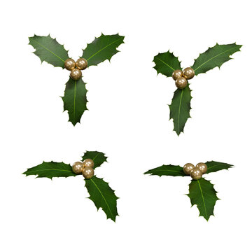 Christmas Holly Branch Leaves with Metallic Gold Berries 3D Set