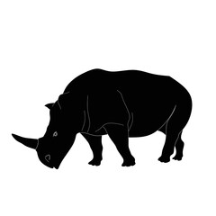 Rhinoceros silhouette vector on white background,rhino silhouette image,rhino silhouette logo icon, silhouette rhino design vector,black rhino stock illustration, rhinoceros on black logo image  © Hari