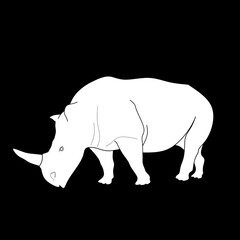 White rhinoceros logo on black background, silhouette rhino on black background, white rhino design image, white rhino design logo, silhouette white rhino design vector,rhino logo on white image  © Hari