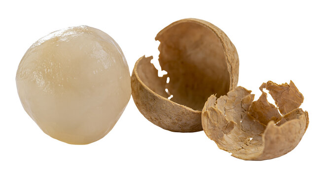 Isolated peeled longan fruit and its cracked shell, a sweet delicious juicy tropical snack