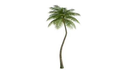 Isolated tropical palm tree with a curved trunk and lush green fronds, ideal for summer themes © Gabriel