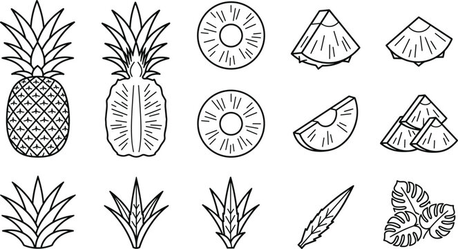 Black and white pineapple line art icon set including whole fruit halves slices rings and tropical foliage elements