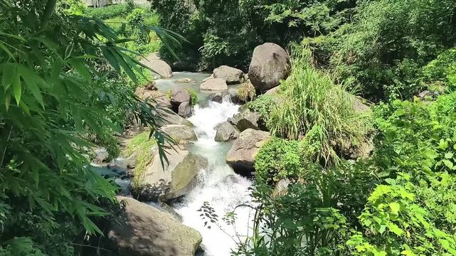 Mountain forest stream flowing water real shot material