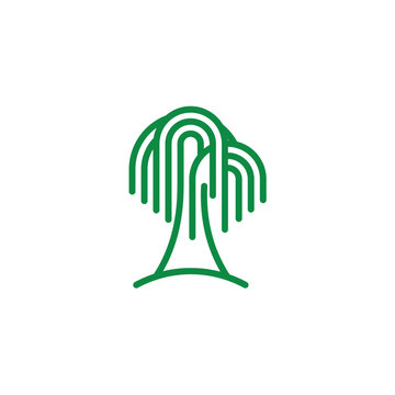 Abstract green willow tree logo design with concentric line branches