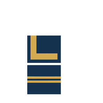 Navy blue and gold L shape and stripes