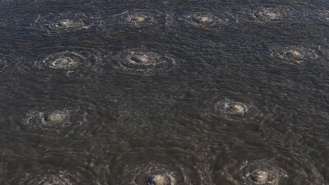 Drone View of Cranberry Bog Irrigation Ripples in Quebec