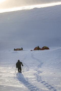 Dovre Municipality, Innlandet, Norway - 18 February 2020: View of a person snowshoeing across a vast, snow-covered landscape towards a small campsite with tents in the Dovrefjell mountains.