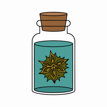 Herbal magic potion bottle with blue liquid and star anise spice ingredient vector illustration icon