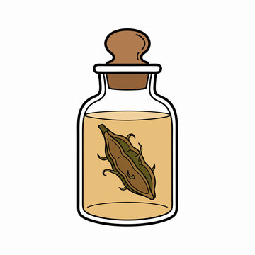 Botanical Specimen of Protea Flower Preserved in Glass Jar Vector Illustration