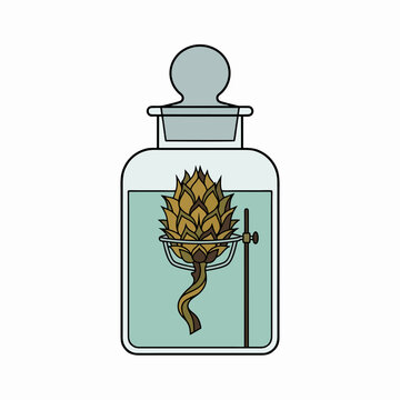 Artistic Illustration of a Preserved Botanical Specimen Suspended Inside a Scientific Glass Laboratory Bottle