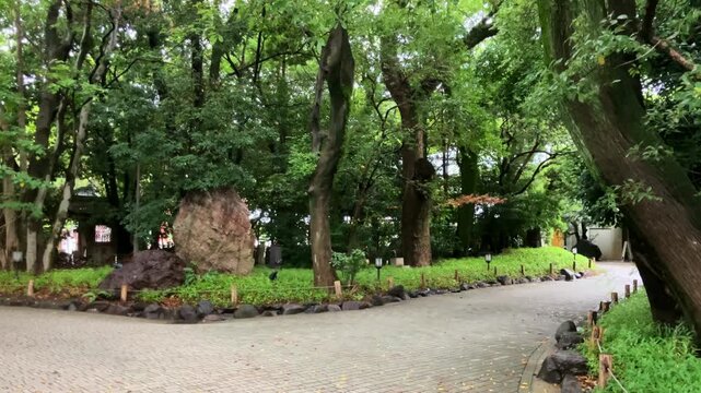 兵庫県西宮市の西宮神社境内の緑豊かな散策路と大きな木々