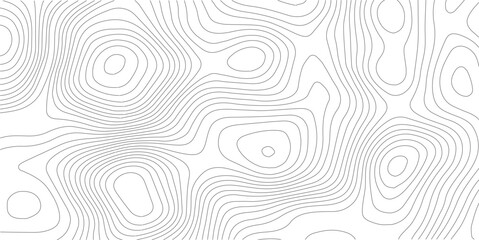 Topographic map vector background, minimalist contour line pattern, abstract geographic terrain relief, seamless white and grey elevation texture © SELIM
