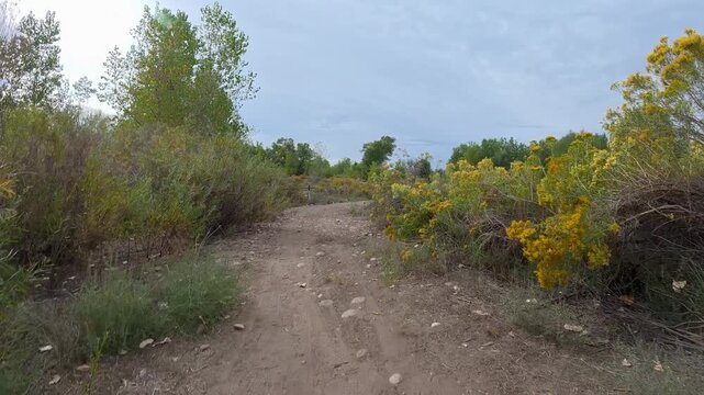 Immersive POV from recumbent trike ride on a rough gravel trail along the Poudre River in Fort Collins, Colorado - late summer scenery in North Shields Ponds Natural Area