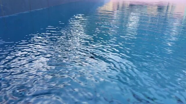 Crystal Clear Blue Swimming Pool Water Surface with Gentle Ripples and Sunlight Reflections