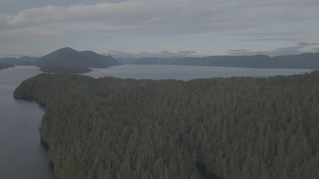 Aerial view of dense conifer forest and small islands along a remote Pacific coastline &mdash; slow pass over the canopy