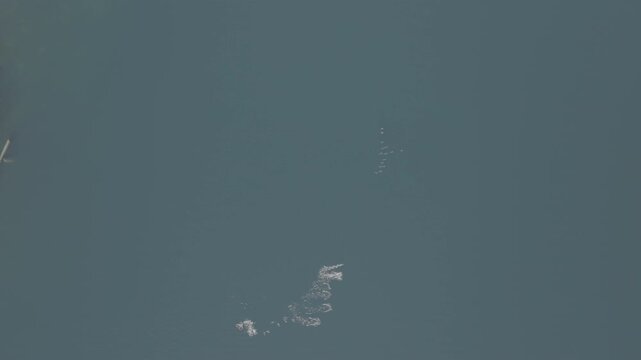 Aerial view of humpback whales surfacing in calm coastal water in the Great Bear Rainforest &mdash; two whales surfacing together