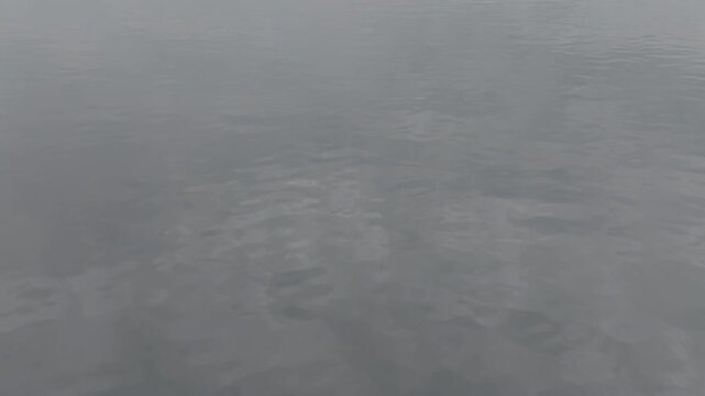 Aerial view of mist drifting over still coastal water in the Pacific Northwest &mdash; soft fog over still water