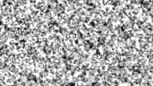 Abstract monochrome noise texture liquid cellular surface grayscale pattern for 3d displacement maps, cgi shading, and visual backgrounds.