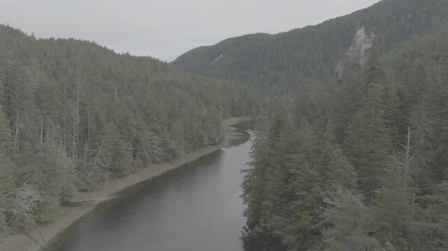 Aerial view of a river winding through old growth temperate rainforest in British Columbia &mdash; slow push along the water