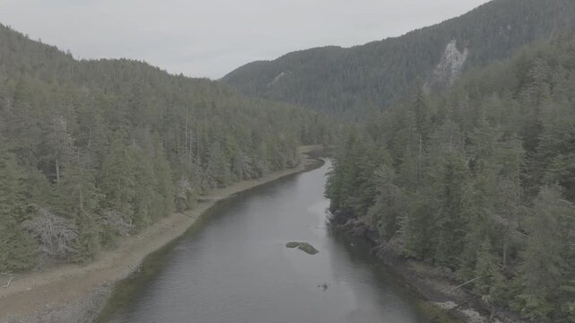 Aerial view of a river winding through old growth temperate rainforest in British Columbia &mdash; following the river upstream