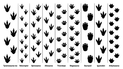 Set of various dinosaur footprints and tracks isolated on a white background © Kapilbiswas