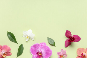 Plakat Wellness and spa background, colorful orchid flowers and green leaves on a soft light green surface with copy space for beauty and relaxation