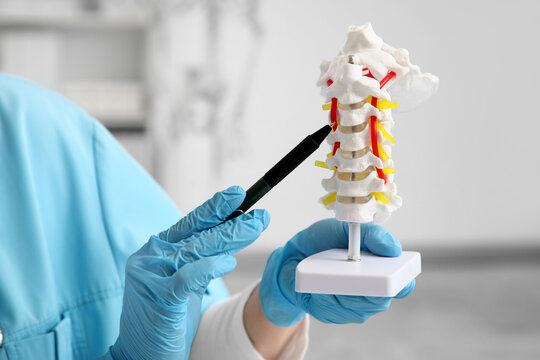 Female doctor with spine model in clinic, closeup