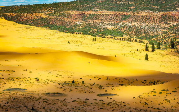 Sunset light glows across Coral Pink Sand Dunes in Utah