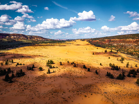 Sunset light glows across Coral Pink Sand Dunes in Utah