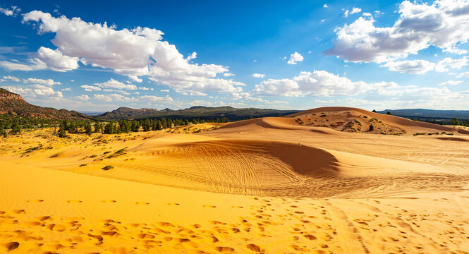 Coral Pink Sand Dunes State Park panoramic landscape in Utah