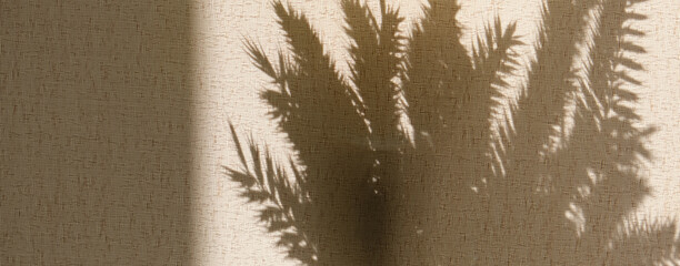 Obraz premium Whisper of floral motifs in soft dim light, while the subtle crossed lines of the abstract backdrop create a delicate lattice of shadows. The vintage background feels comforting with nostalgic charm