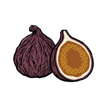 Whole and Sliced Half Fresh Purple Fig Fruit Clipart