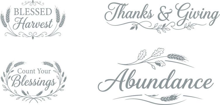 Set of four elegant thanksgiving and harvest themed calligraphy designs featuring decorative wheat stalks and flourishes for seasonal holiday greeting card projects