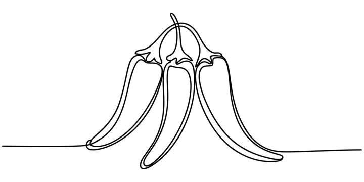 Continuous single line drawing of fresh chili peppers isolated on a white background Vector, illustration