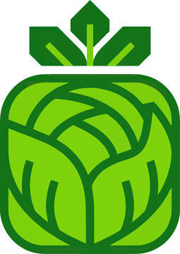 Stylized green cabbage leaf icon in square shape