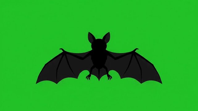 Halloween flying bat chroma key