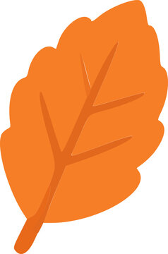 Cute Orange Autumn Leaf Illustration