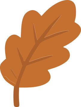 Cute Brown Autumn Leaf Illustration