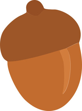 Cute Brown Acorn with Cap