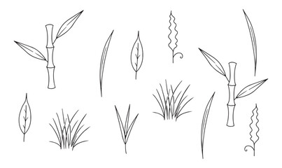 Obraz premium Vector Line Art Illustration of Nature, Leaf Outline Drawing