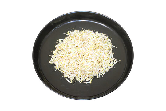 Fresh raw bean sprouts served on round black tray isolated on transparent background