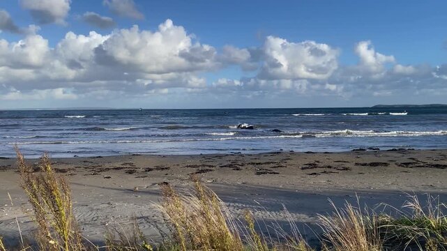 View of a sandy beach with grass in the foreground, waves, open sea and cloudy sky, beach, Oslofjord, T&ouml;nsberg, Norway