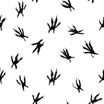 A seamless pattern featuring paw prints of crow, raven, magpie, sparrow, dove, and other birds. Silhouettes and vector illustrations isolated on a white background. Suitable for use in pet shops, text
