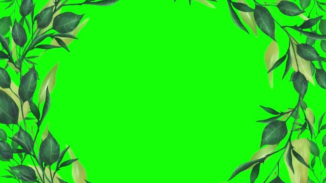 Animated green leafy branches decorative border on vibrant chroma key
