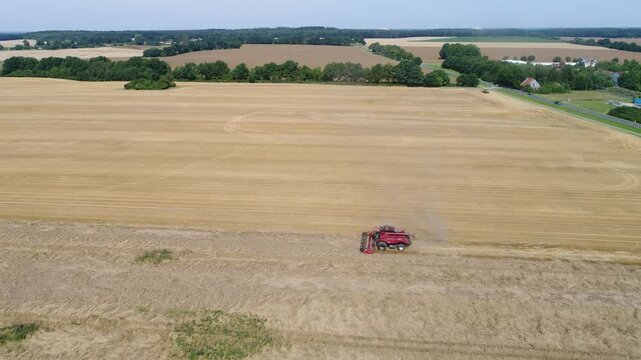 Combine harvester mowing cornfield, Zapel near Hagenow, Mecklenburg-Western Pomerania
