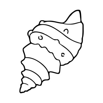 sea shell spiral seashell line art vector illustration