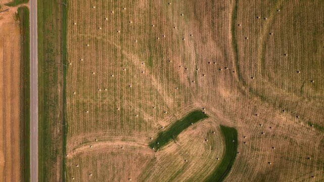 Top down aerial of curving terraces in a harvested hay field